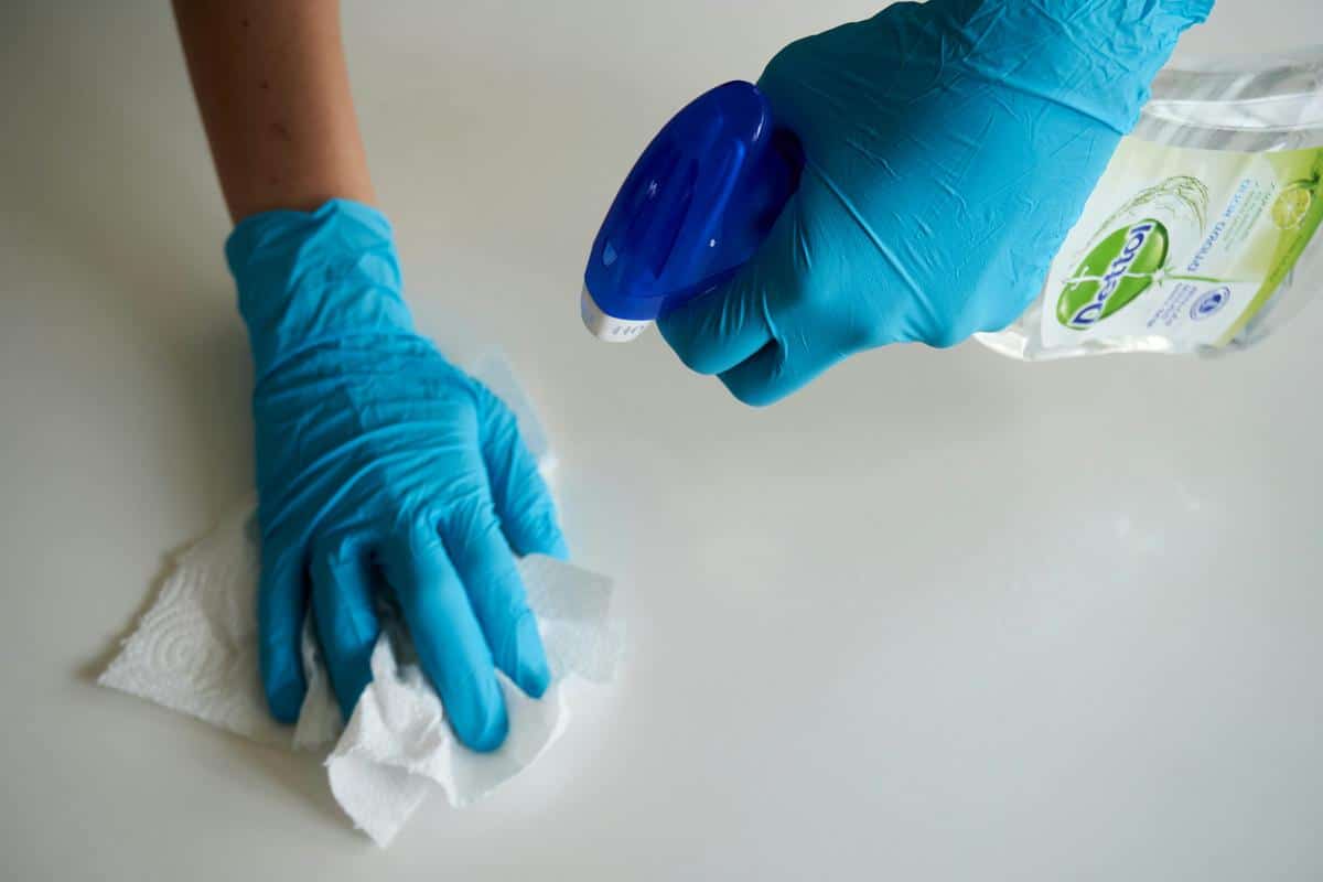 Image of a person cleaning a pair of sneakers with a soft brush and a cleaning product.